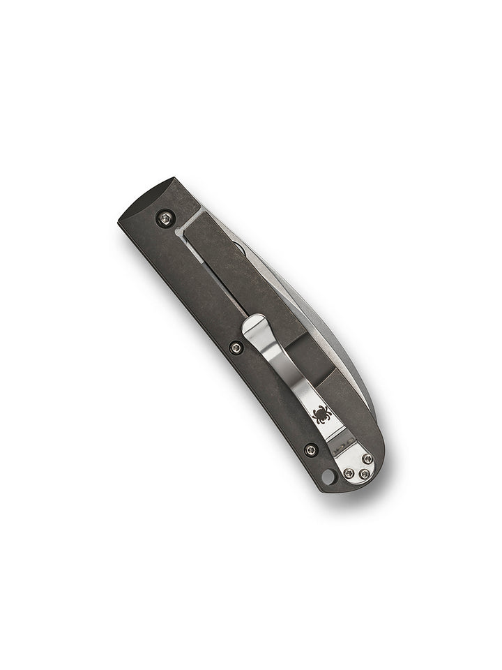 Swayback™ C249TIP_Closed