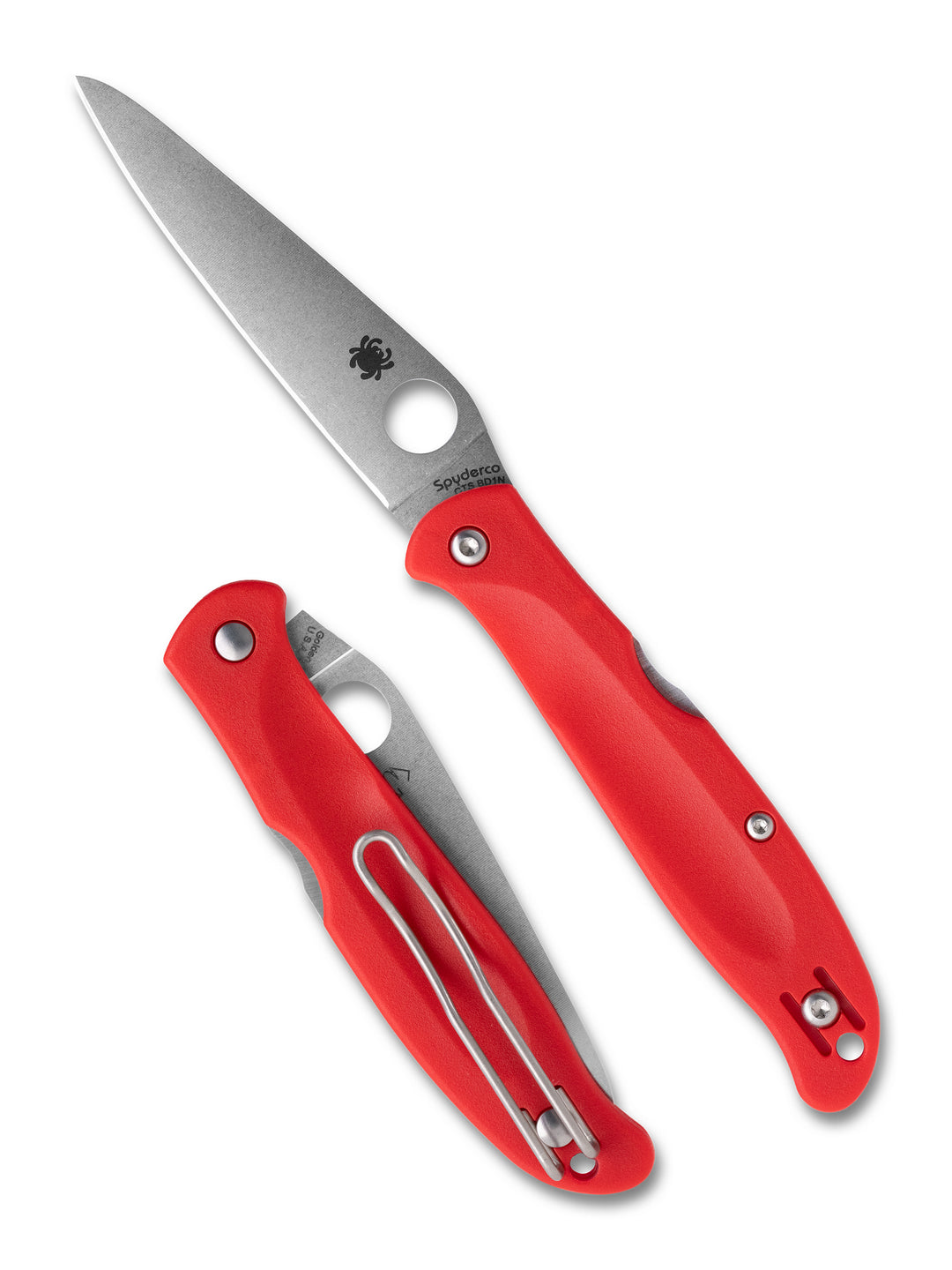 Charisma™ Red C259PRD_Both